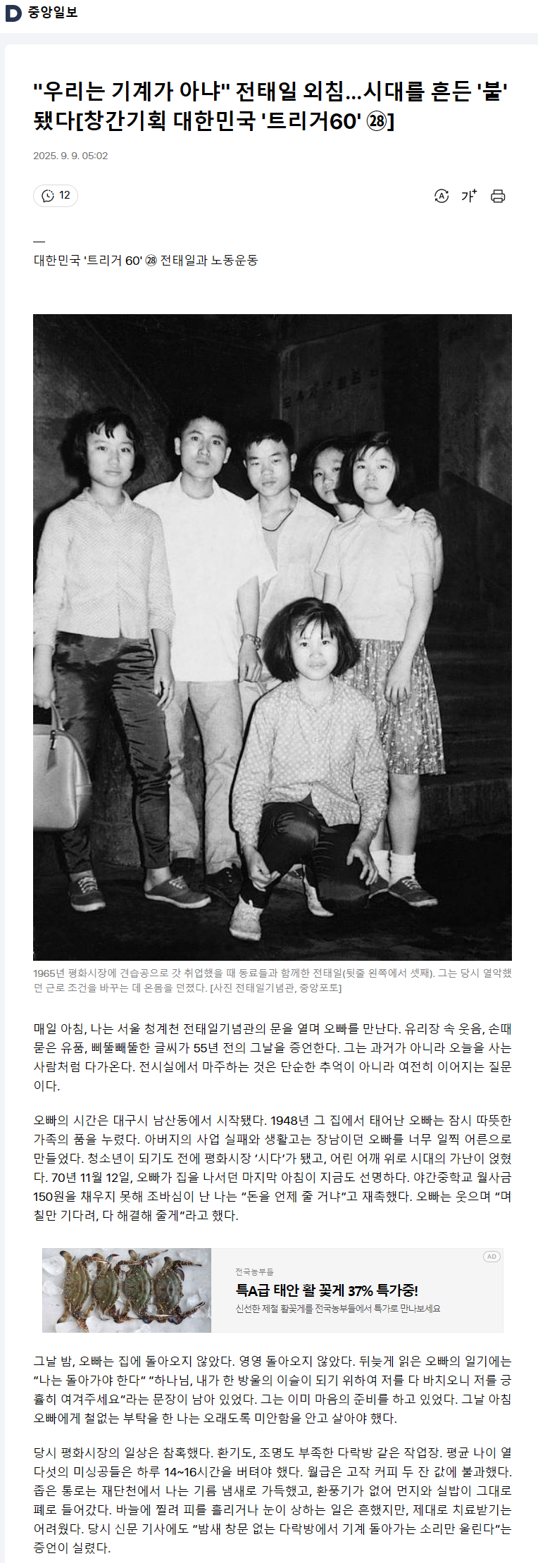 언론보도