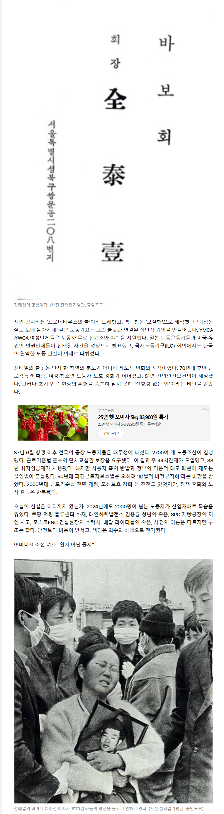언론보도